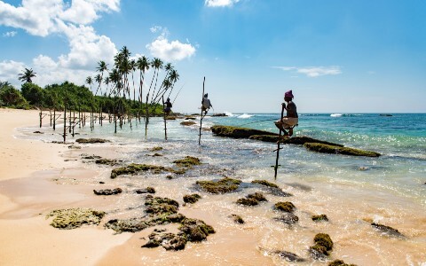 sri lanka thumb