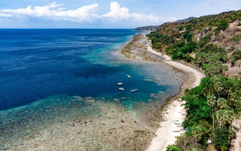 timor banner 480x300